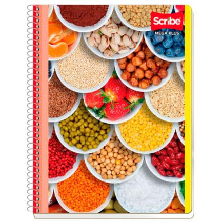 Cuaderno Scribe Profesional Mega Raya 100Hojas