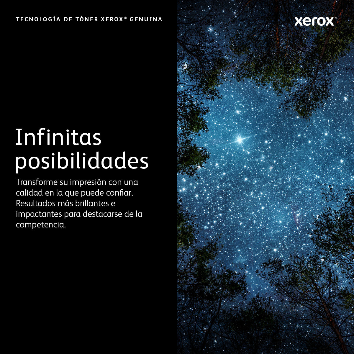 Cartucho Xerox 006R04677 Negro 2.400 Páginas