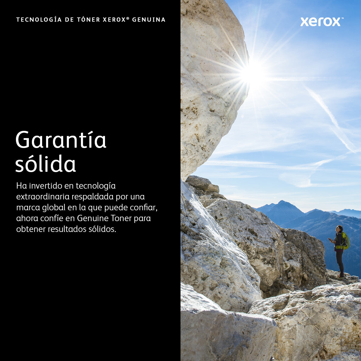 Cartucho Xerox 006R04679 Magenta 2.000 Páginas