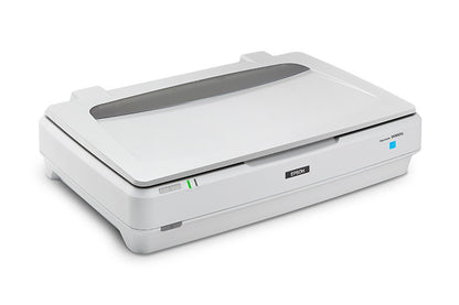 Escaner Epson B11B257201 Expresion 13000XL