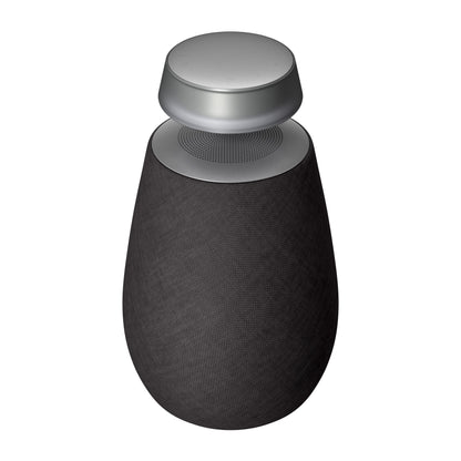 Bocina LG XBOOM 360 20W bocina bluetooth con sonido omnidireccional 360 negro