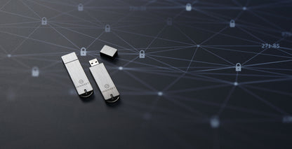 Memoria USB Kingston IronKey S1000 Flash 32GB Encriptado Criptochip Integrado Color Plata