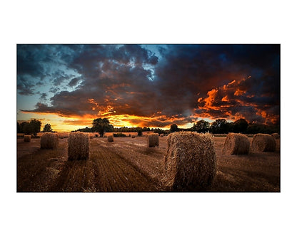 Pantalla Samsung 46" Video Wall VW FHD Resolución 1920x1080 Tizen 4.0