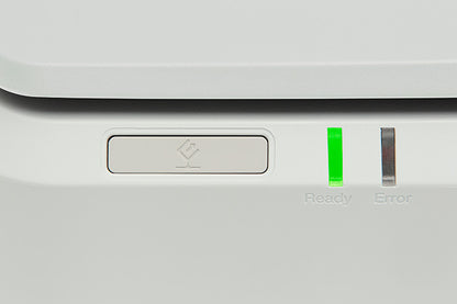 Escaner Epson B11B257201 Expresion 13000XL