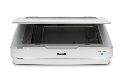 Escaner Epson B11B257201 Expresion 13000XL