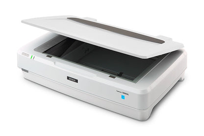 Escaner Epson B11B257201 Expresion 13000XL