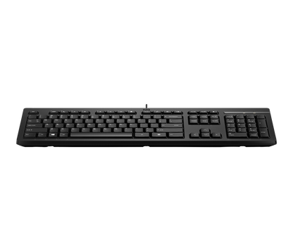 Teclado HP 125 Alambrico
