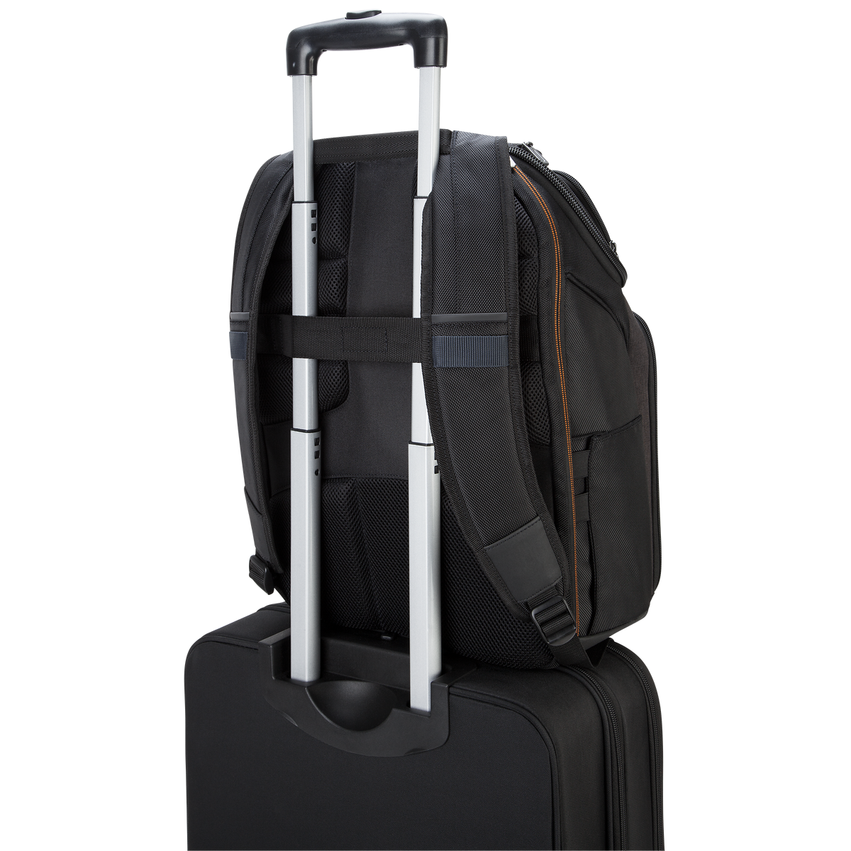 Mochila Targus CitySmart EVA Pro 15.6" Color Negro