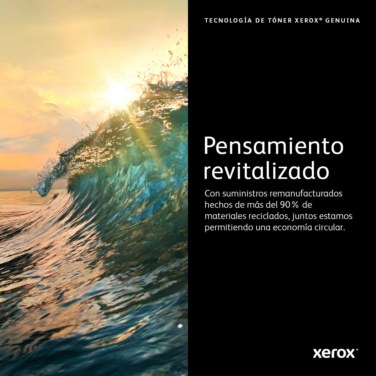 Toner Xerox 22.2K Color Negro VersaLink C7020/7025/7030