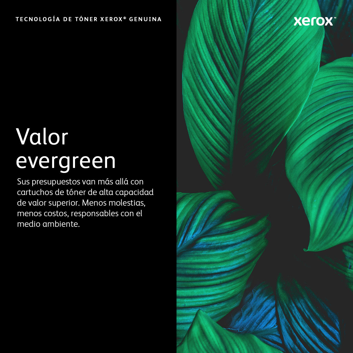 Toner Xerox Amarillo 11.8K VersaLink C7020/7025/7030