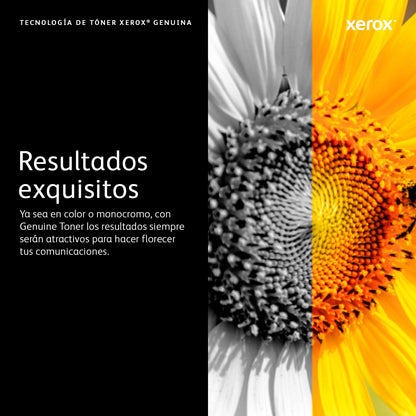 Tóner Xerox Capacidad Estándar VersaLink C8000W 5000 Páginas Color Blanco