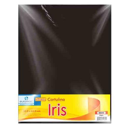 Cartulina euromac iris negro 50x65cm c/10